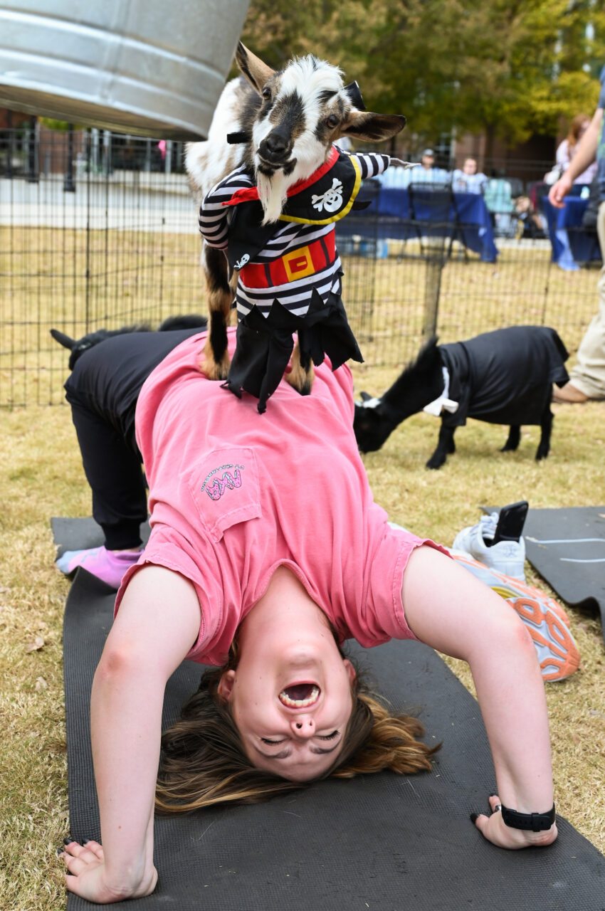 Halloween Goat Yoga class, Wednesday, Oct. 26, 2022 on Chamberlain Field.
