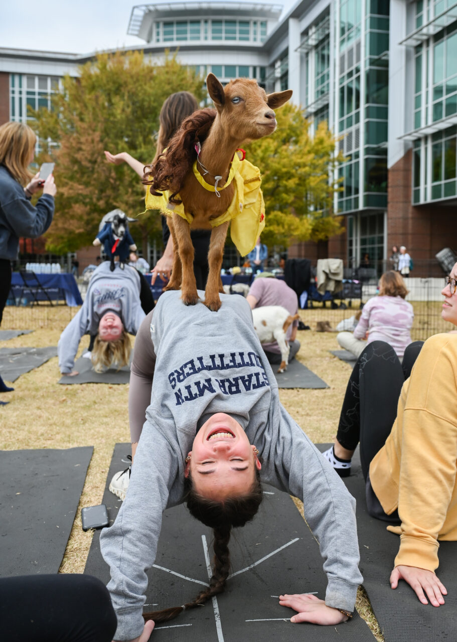 Halloween Goat Yoga class, Wednesday, Oct. 26, 2022 on Chamberlain Field.