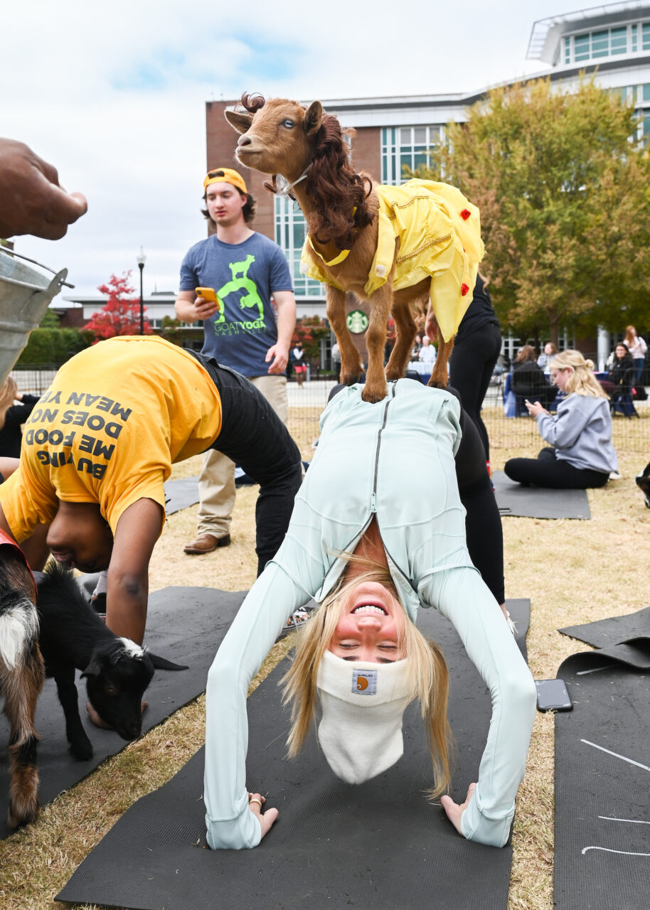 Halloween Goat Yoga class, Wednesday, Oct. 26, 2022 on Chamberlain Field.