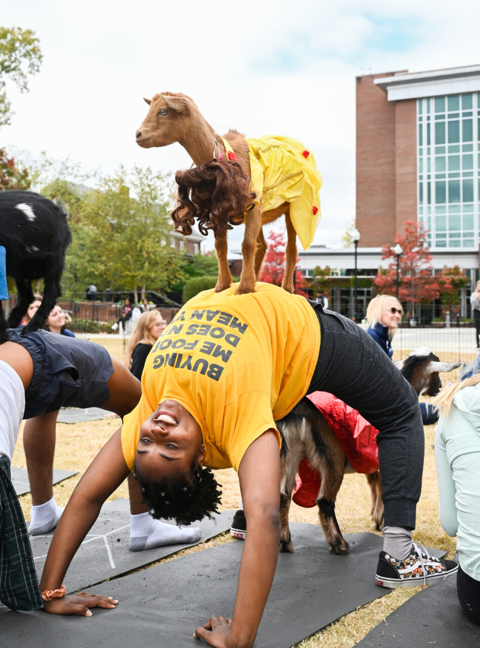 Halloween Goat Yoga class, Wednesday, Oct. 26, 2022 on Chamberlain Field.