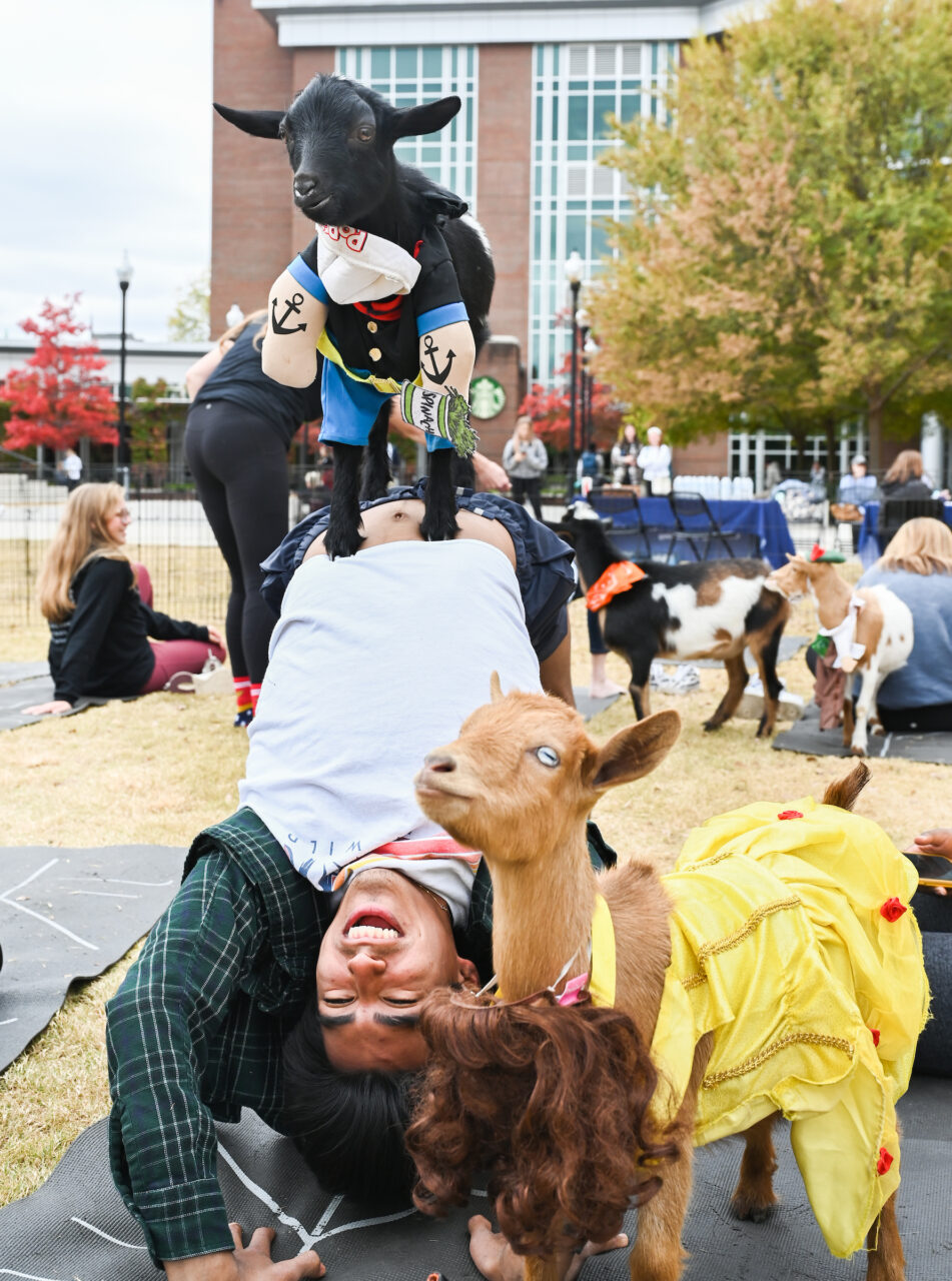 Halloween Goat Yoga class, Wednesday, Oct. 26, 2022 on Chamberlain Field.