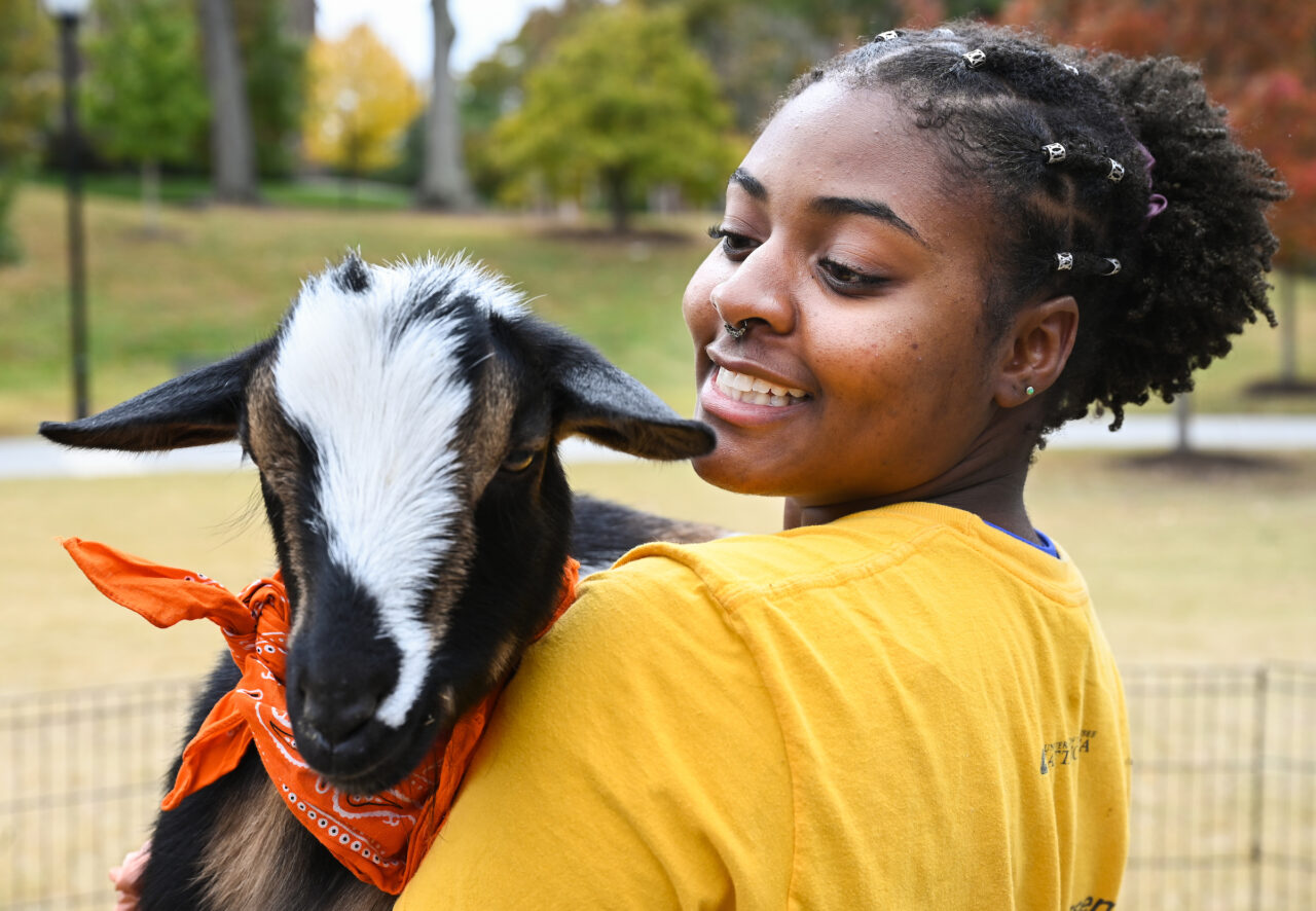 Halloween Goat Yoga class, Wednesday, Oct. 26, 2022 on Chamberlain Field.
