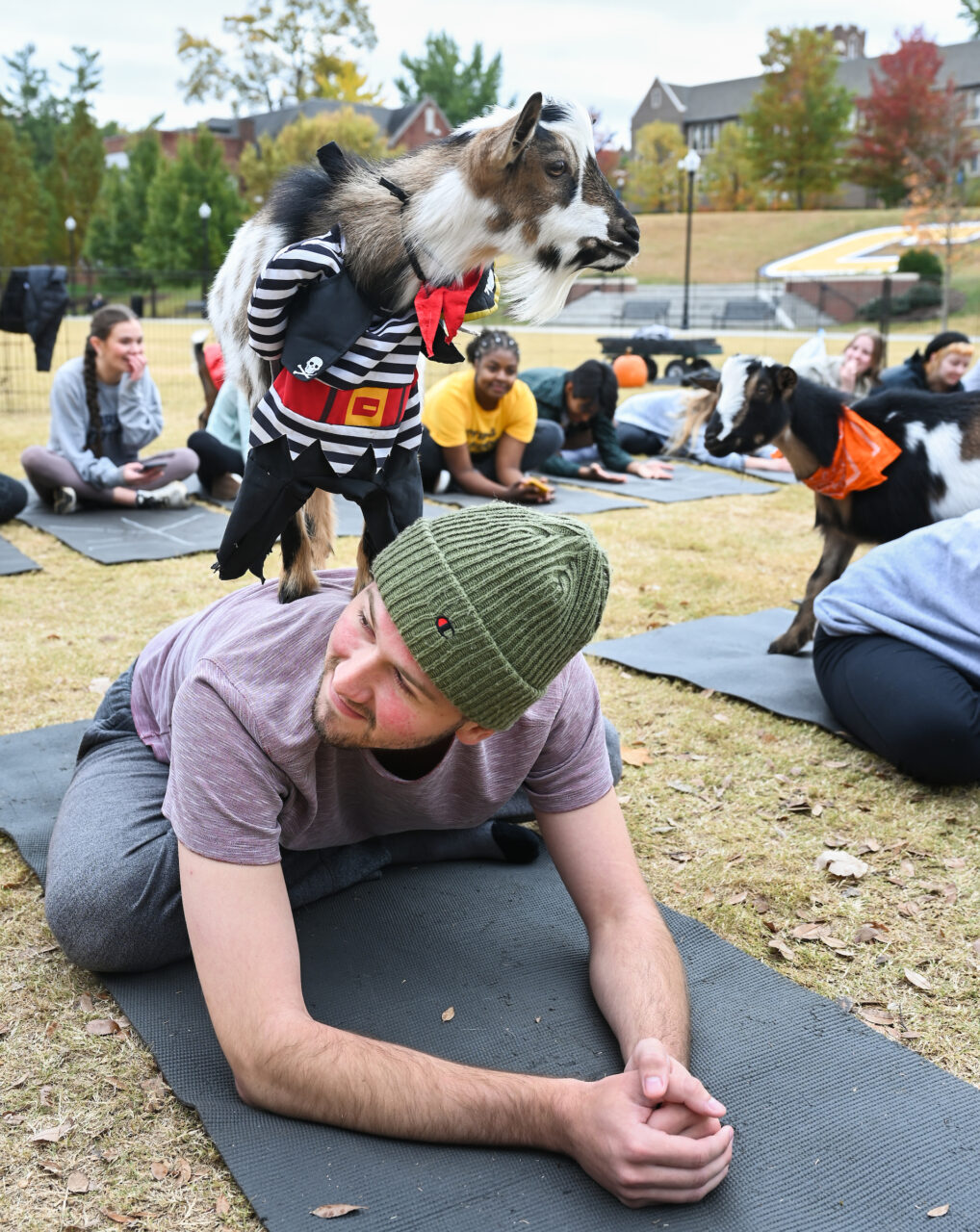 Halloween Goat Yoga class, Wednesday, Oct. 26, 2022 on Chamberlain Field.