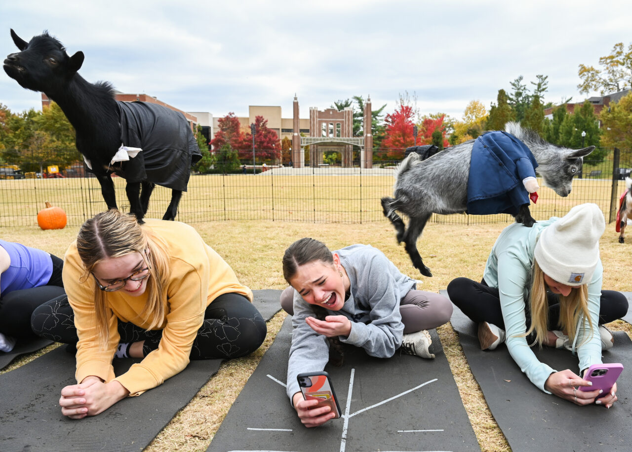 Halloween Goat Yoga class, Wednesday, Oct. 26, 2022 on Chamberlain Field.