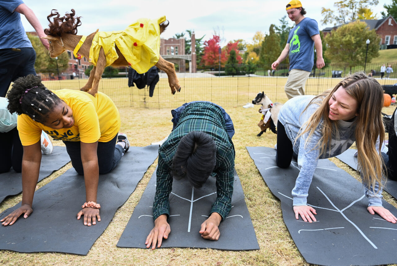 Halloween Goat Yoga class, Wednesday, Oct. 26, 2022 on Chamberlain Field.