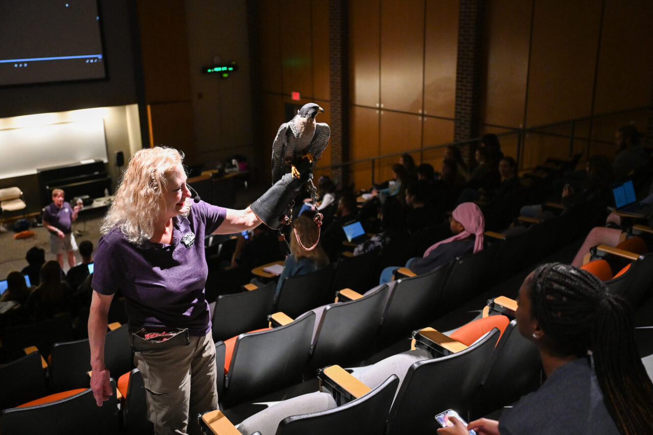 Birds of Prey show, Friday, Oct. 28, 2022 in the Benwood Auditorium.