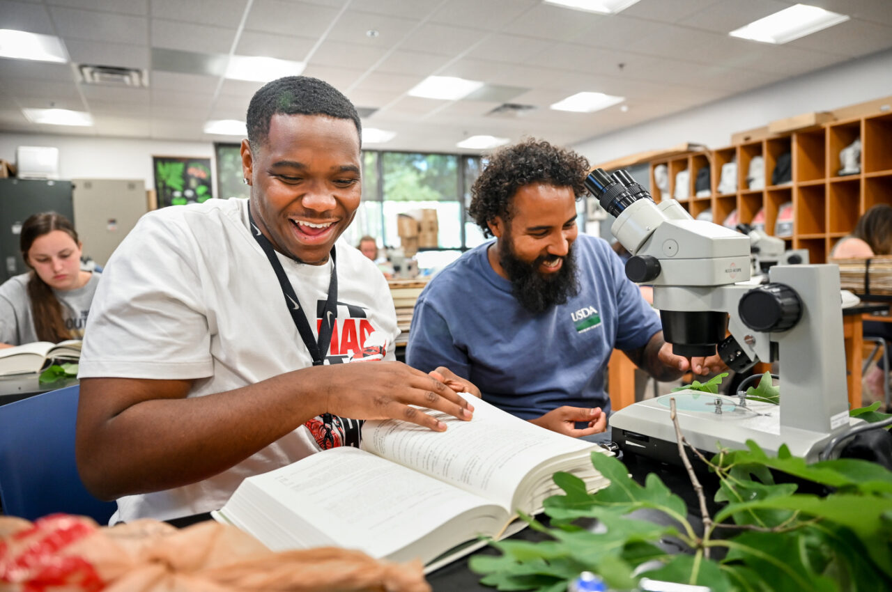 Students work in Joey Shaw’s botany class Wednesday, June 1, 2022 in Holt Hall.