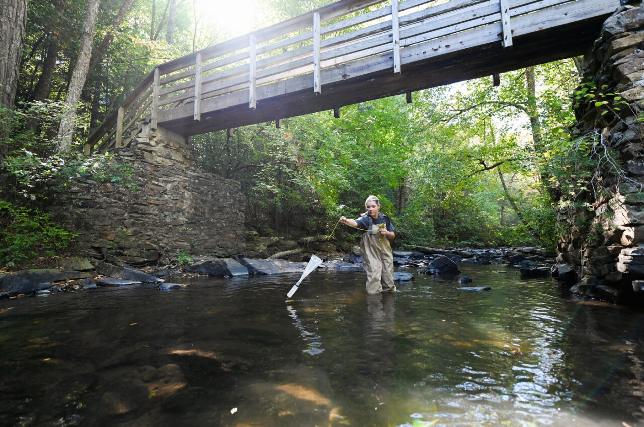 Franchesca Leasi’s Meiofauna Biodiversity class, Monday,Oct. 3, 2022 at a stream on the Lula Lake property.