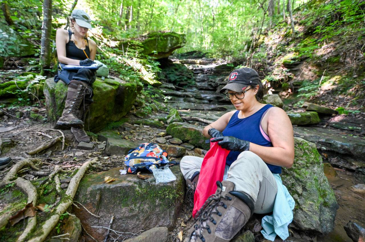 Salamander Research-22-35