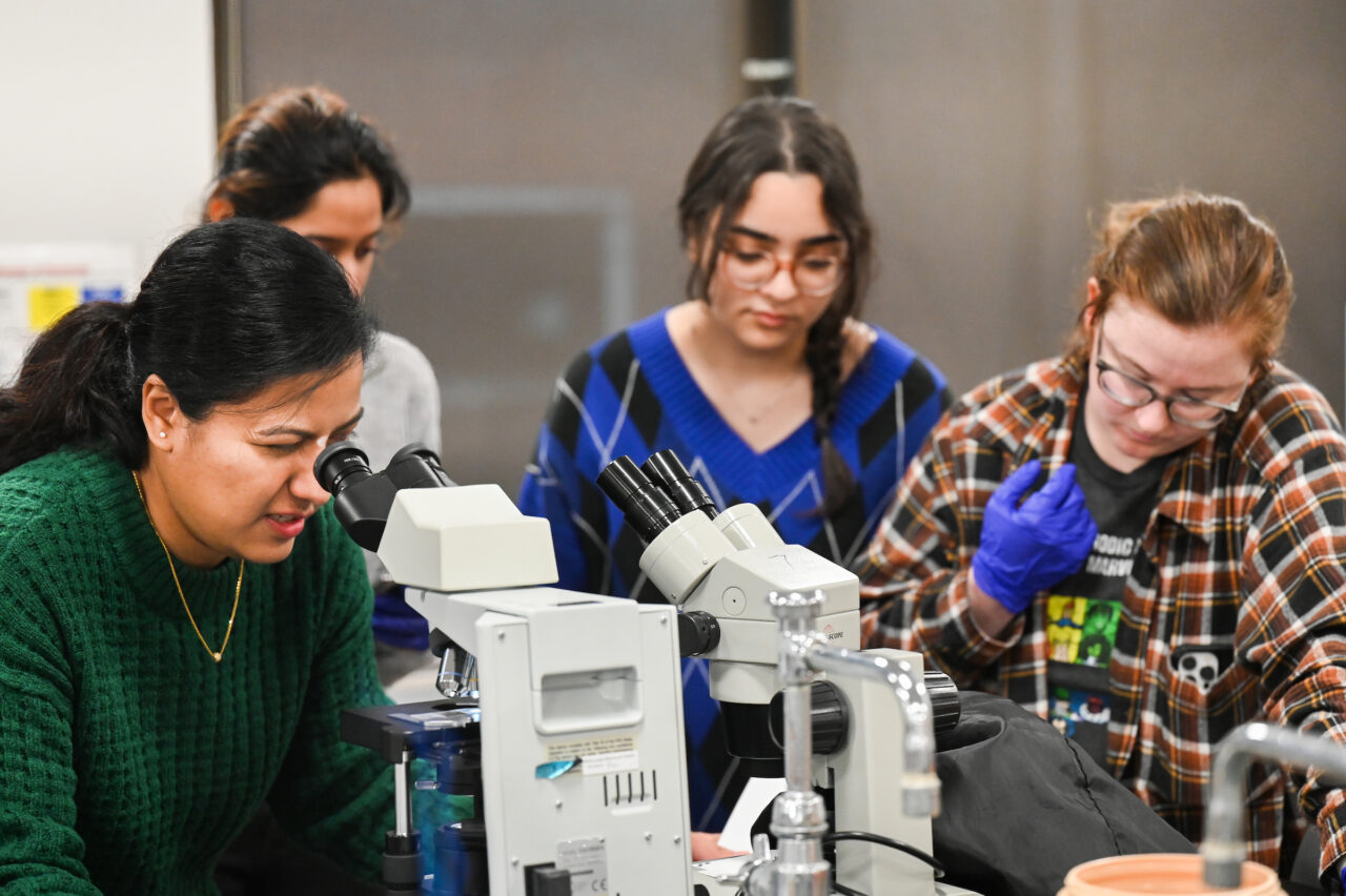 Dr. Jannatul Ferdoush performs research with students in Holt Hall. Photo by Angela Foster.