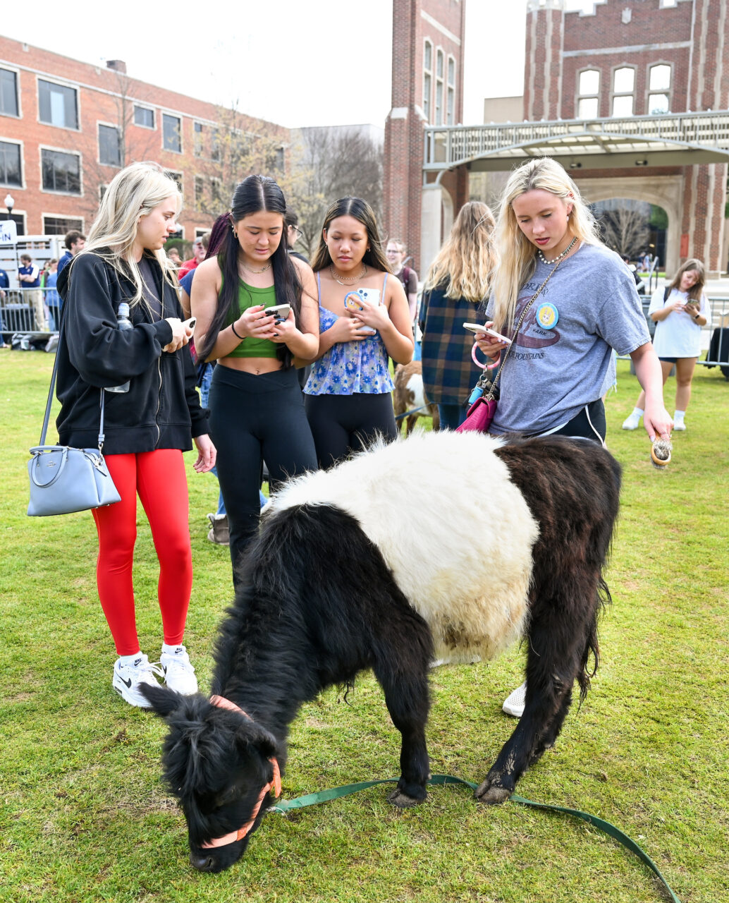 Petting Zoo, Friday, March 24, 2023 on Chamberlain Field