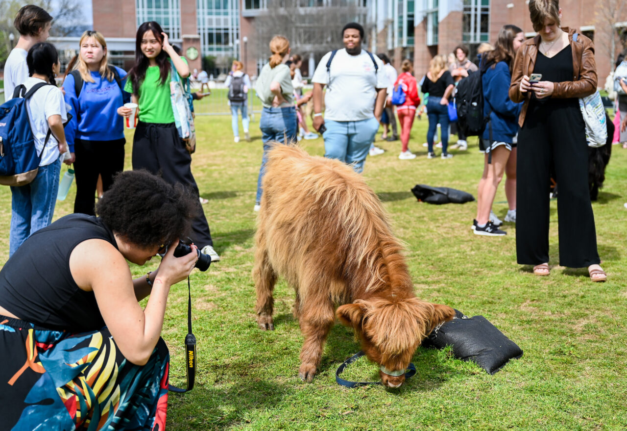 Petting Zoo, Friday, March 24, 2023 on Chamberlain Field