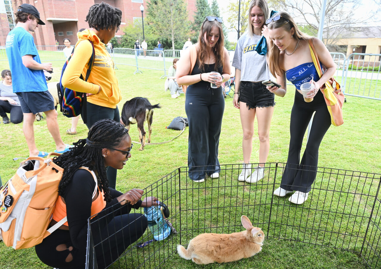 Petting Zoo, Friday, March 24, 2023 on Chamberlain Field