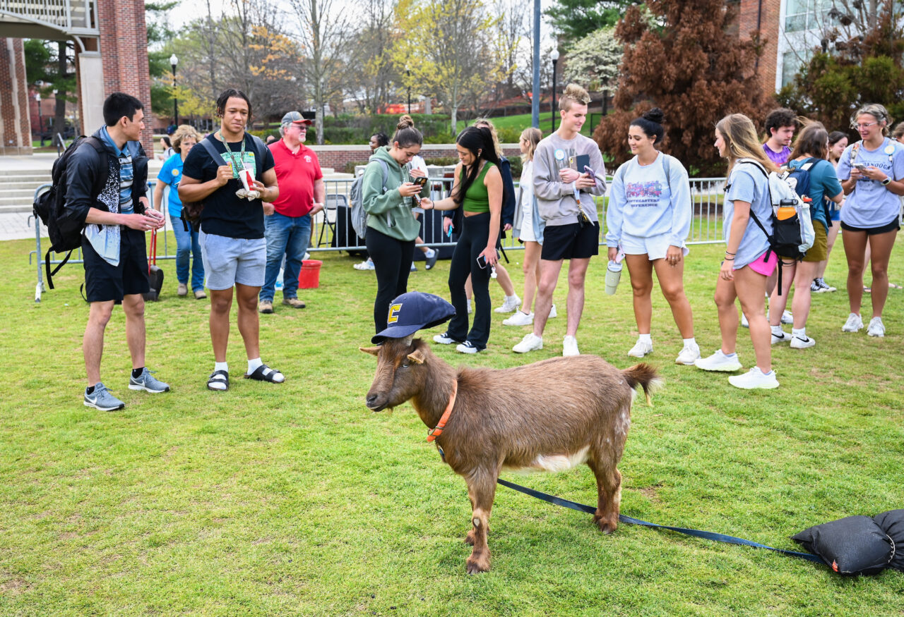 Petting Zoo, Friday, March 24, 2023 on Chamberlain Field