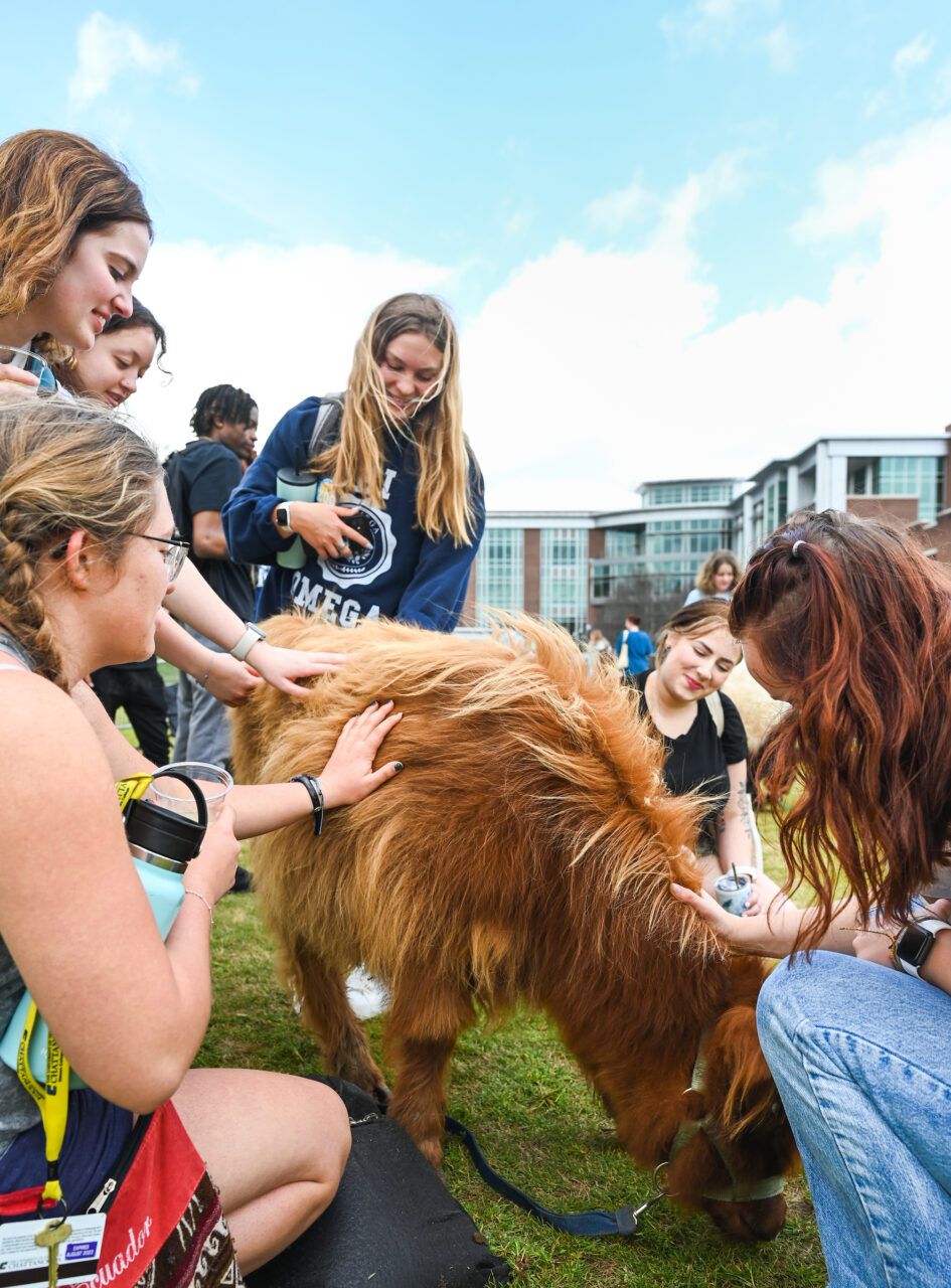 Petting Zoo, Friday, March 24, 2023 on Chamberlain Field