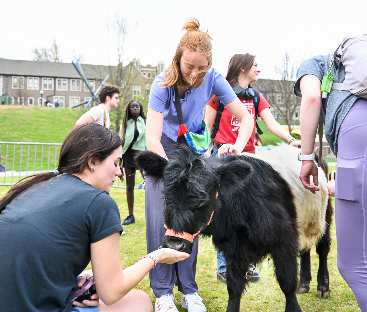 Petting Zoo, Friday, March 24, 2023 on Chamberlain Field