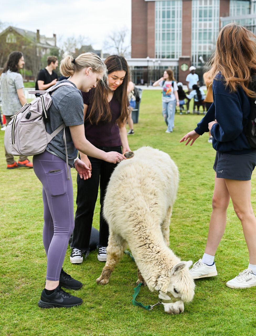 Petting Zoo, Friday, March 24, 2023 on Chamberlain Field