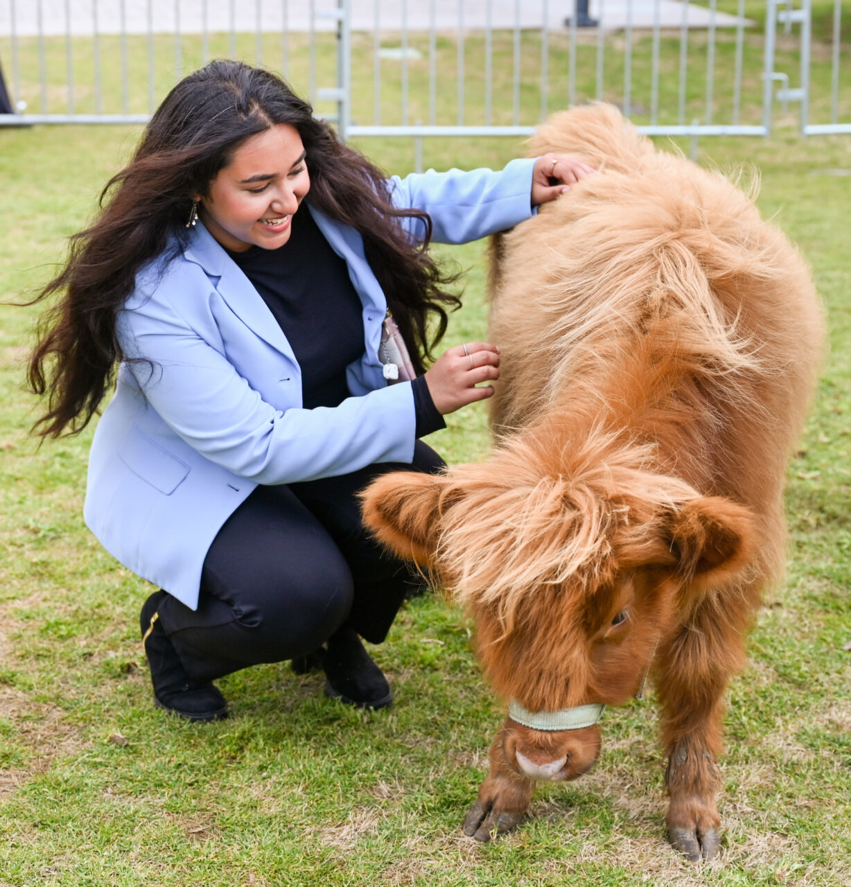 Petting Zoo, Friday, March 24, 2023 on Chamberlain Field