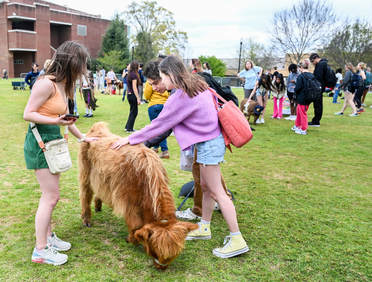 Petting Zoo, Friday, March 24, 2023 on Chamberlain Field
