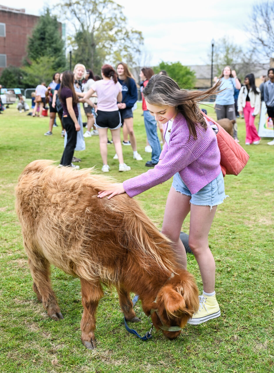 Petting Zoo, Friday, March 24, 2023 on Chamberlain Field