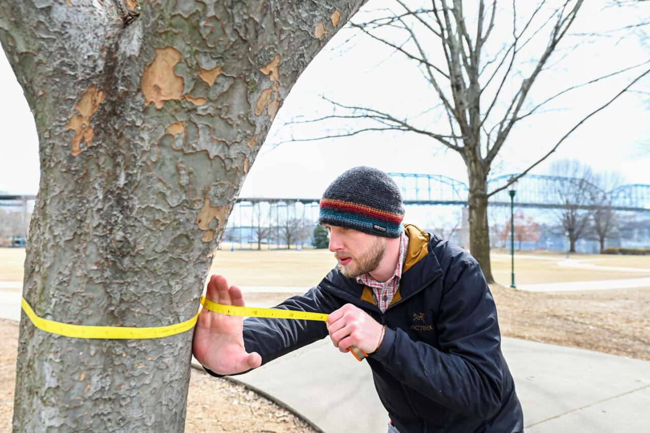 UTC Geographic Information Systems student Will Stuart gathers data about trees in Coolidge Park. Photo by Angela Foster.