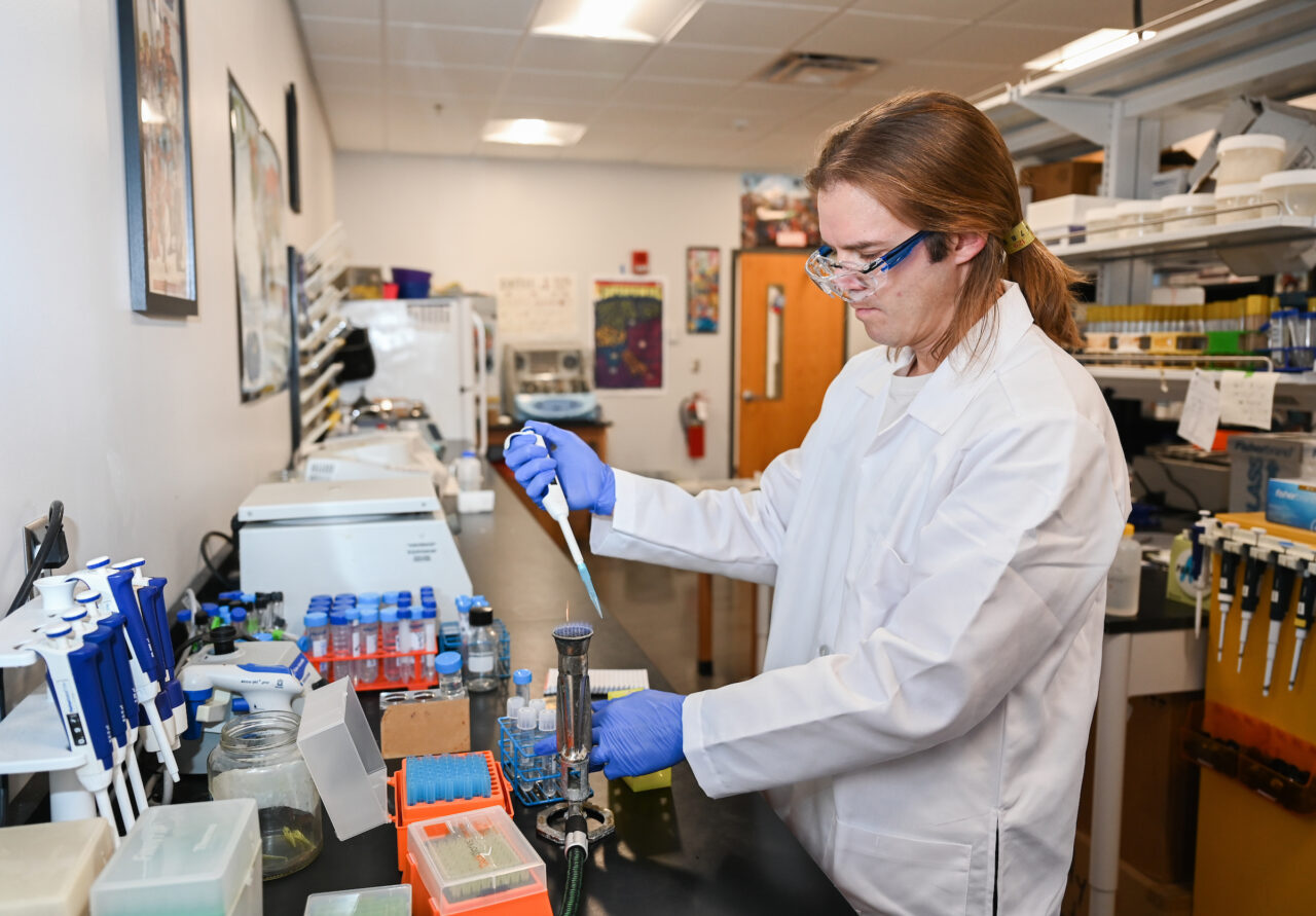 Dr. David Giles works in his biology research lab.