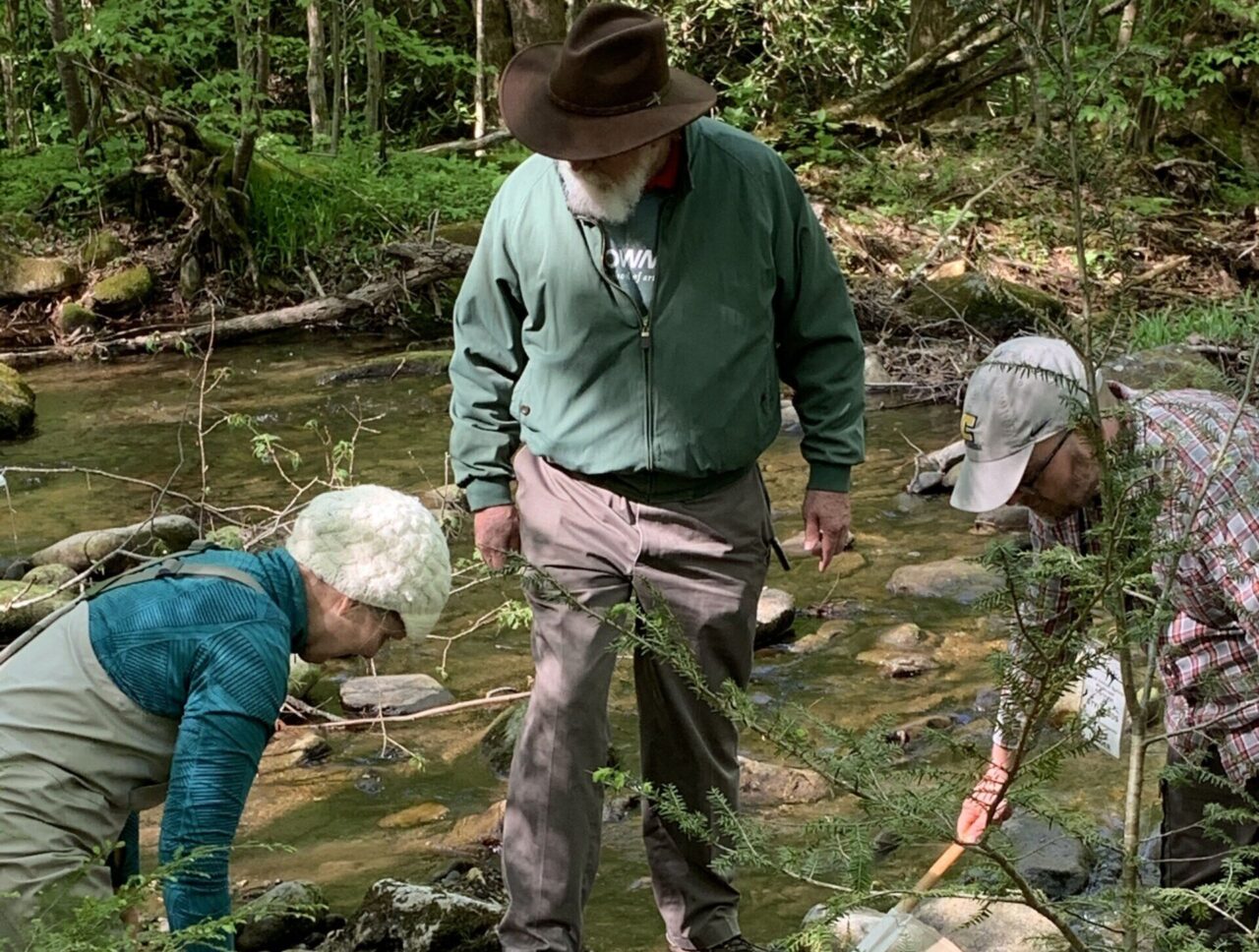 “Pilgrims” being introduced to the hidden world of aquatic insects in the creeks and streams of the Great Smoky Mountains National Park. 