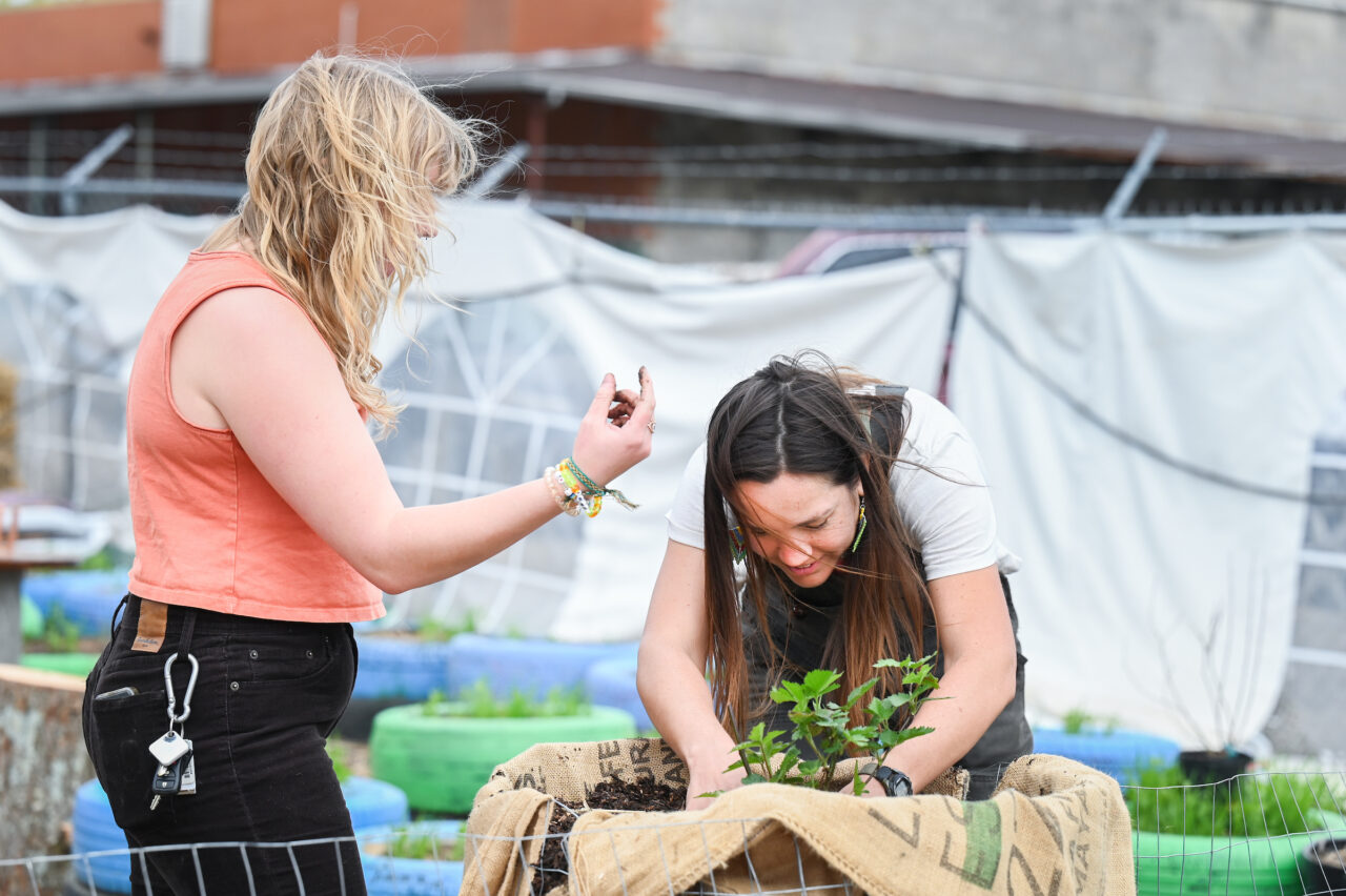 Students in Christina Gibson's Regenerative Design Principles, Processes and Methods class participated in creating a sustainable food forest at the 12th and Peeples Street camp. Photo by Angela Foster.