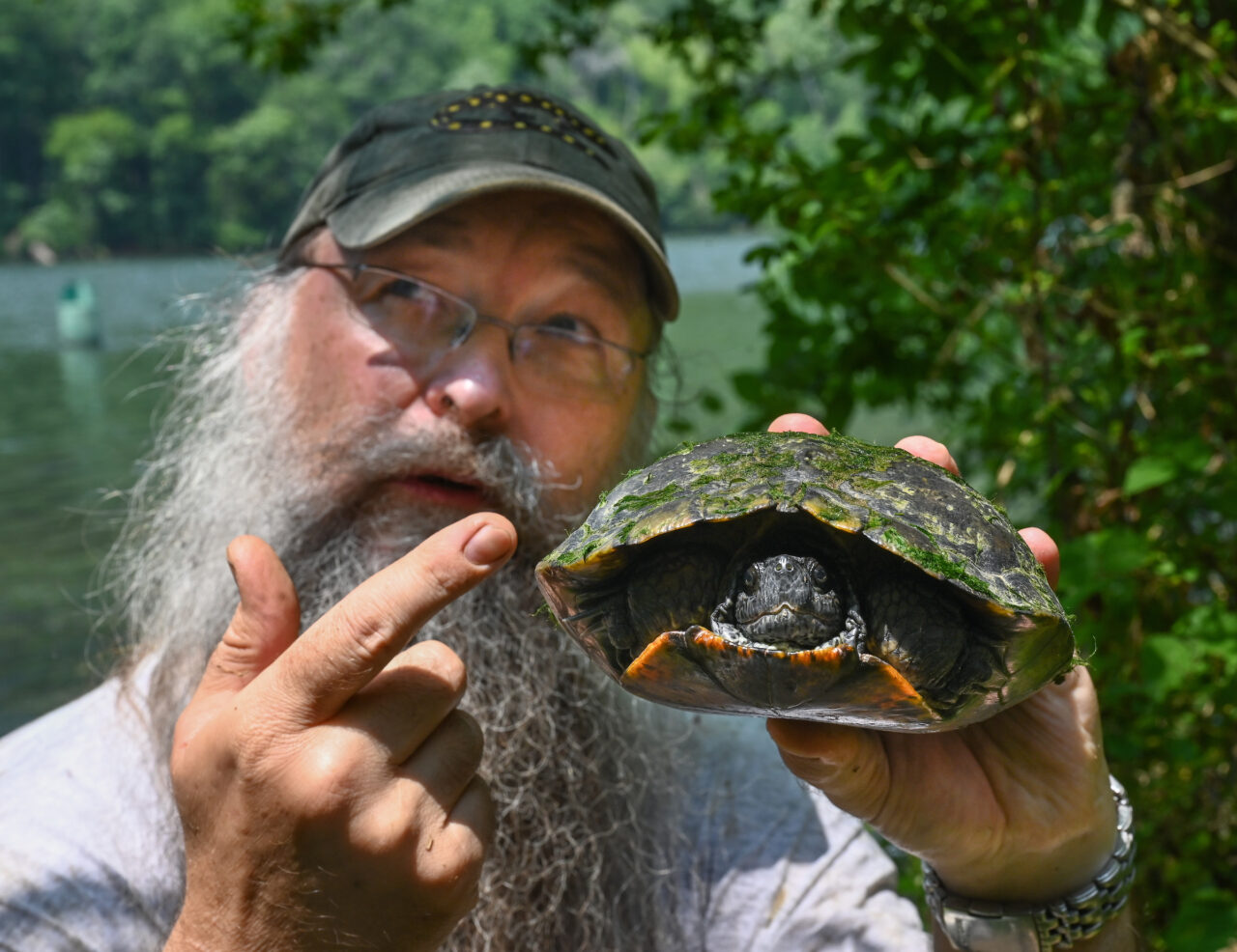 Thomas Wilson’s Environmental Survey Methods class studies turtle research methods Thursday, June 8, 2023 on the Tennessee River.