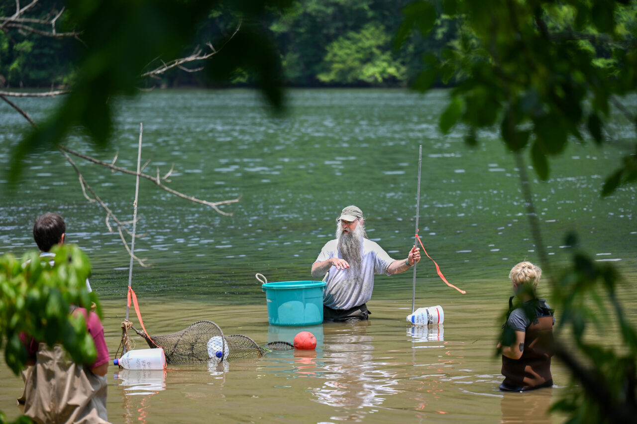 Thomas Wilson’s Environmental Survey Methods class studies turtle research methods Thursday, June 8, 2023 on the Tennessee River.