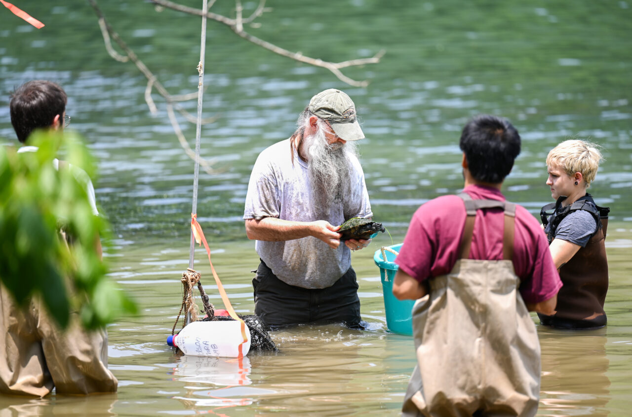 Thomas Wilson’s Environmental Survey Methods class studies turtle research methods Thursday, June 8, 2023 on the Tennessee River.