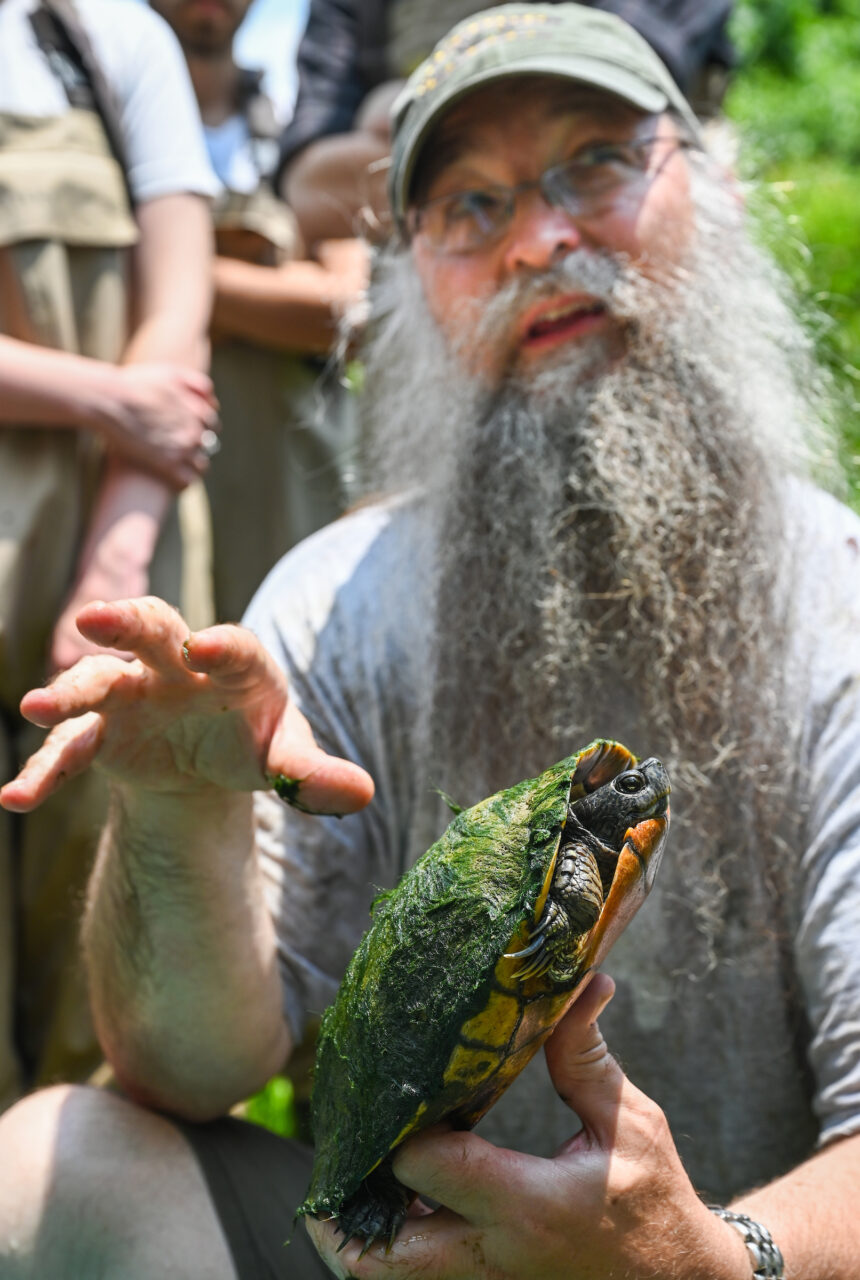 Thomas Wilson’s Environmental Survey Methods class studies turtle research methods Thursday, June 8, 2023 on the Tennessee River.