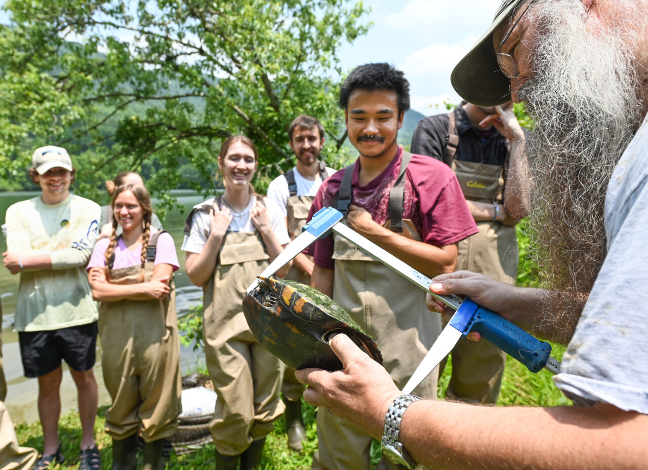 Thomas Wilson’s Environmental Survey Methods class studies turtle research methods Thursday, June 8, 2023 on the Tennessee River.