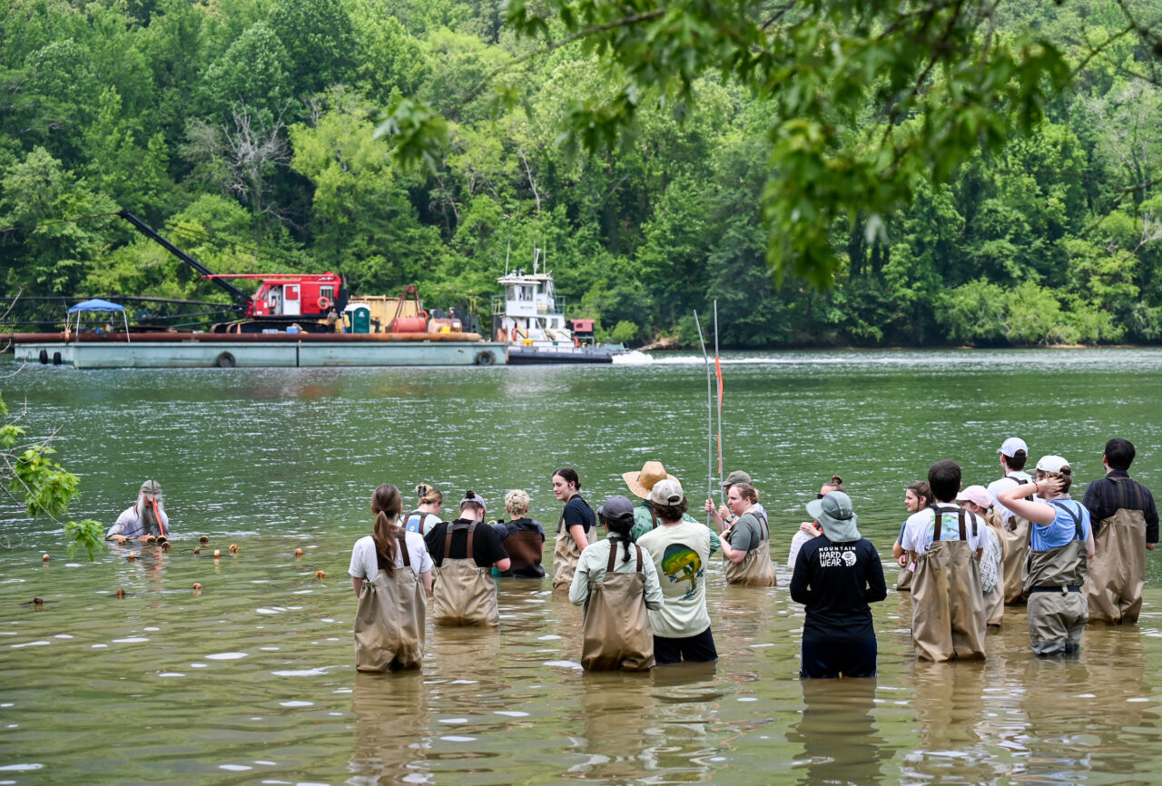 Thomas Wilson’s Environmental Survey Methods class studies turtle research methods Thursday, June 8, 2023 on the Tennessee River.