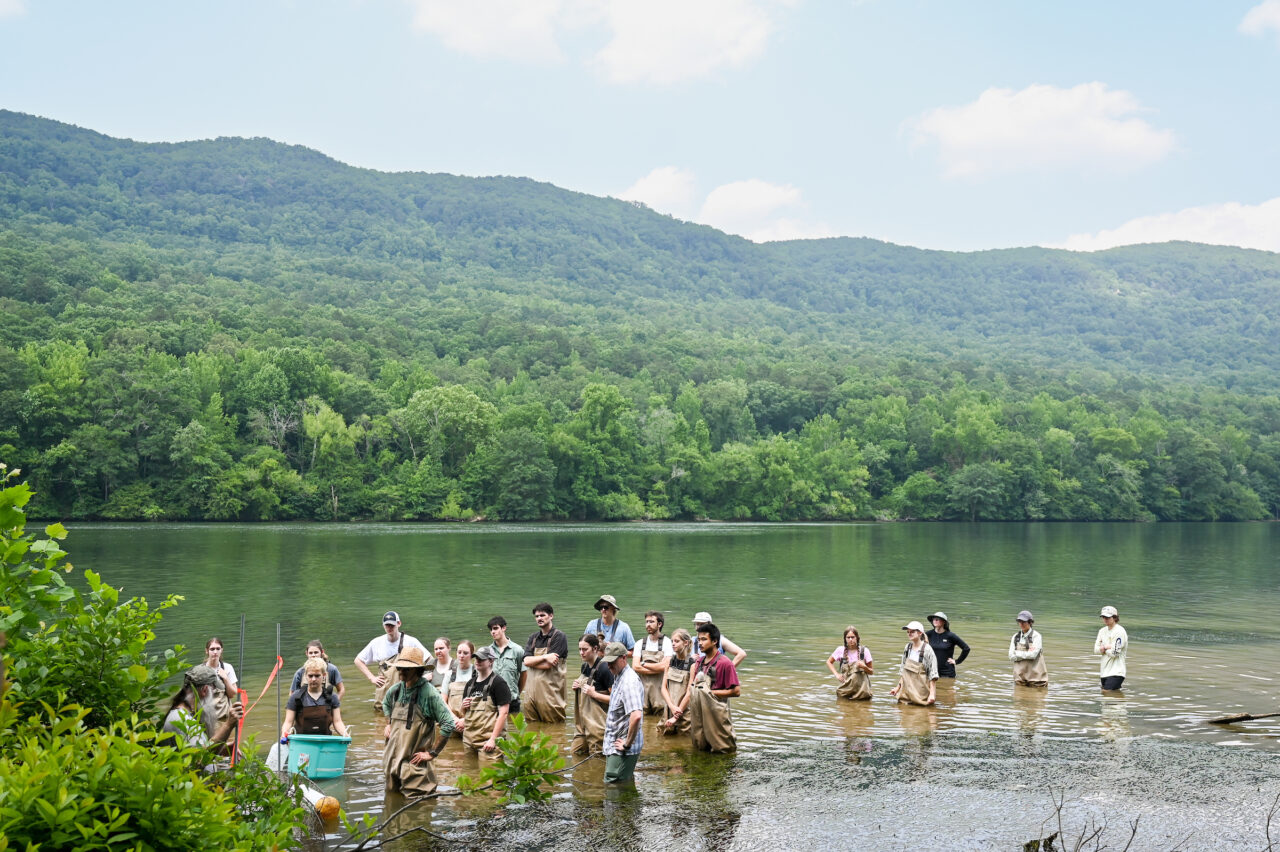 Thomas Wilson’s Environmental Survey Methods class studies turtle research methods Thursday, June 8, 2023 on the Tennessee River.