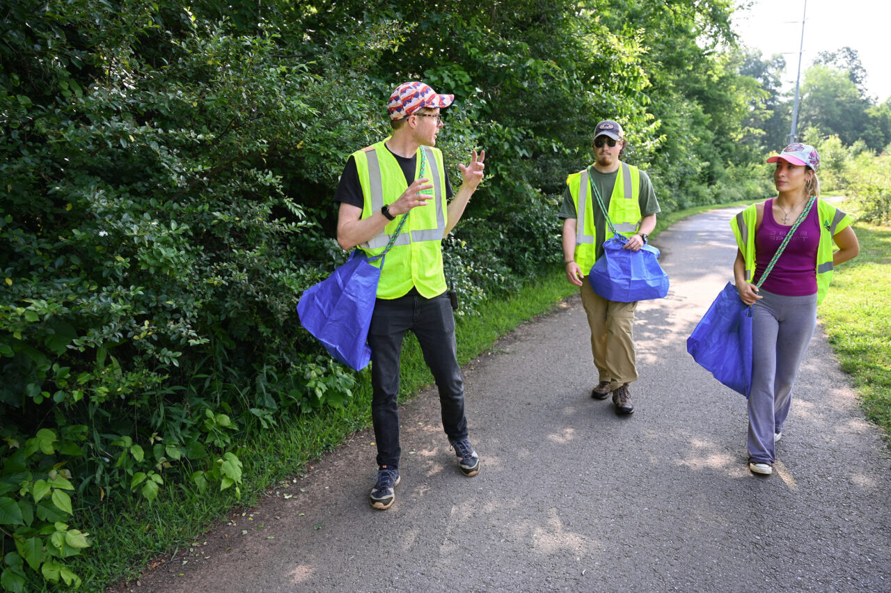 Associate Professor Andrew O'Brien, left, and students Alec Groome and Anna Mandel collect honeysuckle on the Sterchi Farm trailhead along the South Chickamauga Greenway. Photo by Angela Foster.
