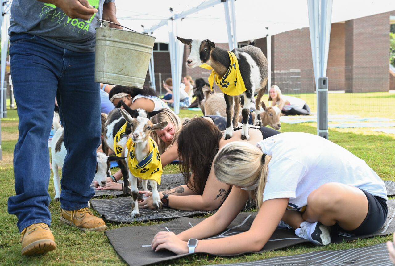 Goat Yoga, Wednesday, Aug. 23, 2023 on Chamberlain Field.