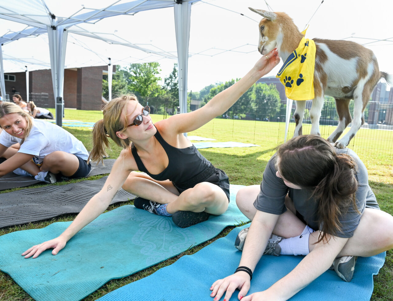 Goat Yoga, Wednesday, Aug. 23, 2023 on Chamberlain Field.