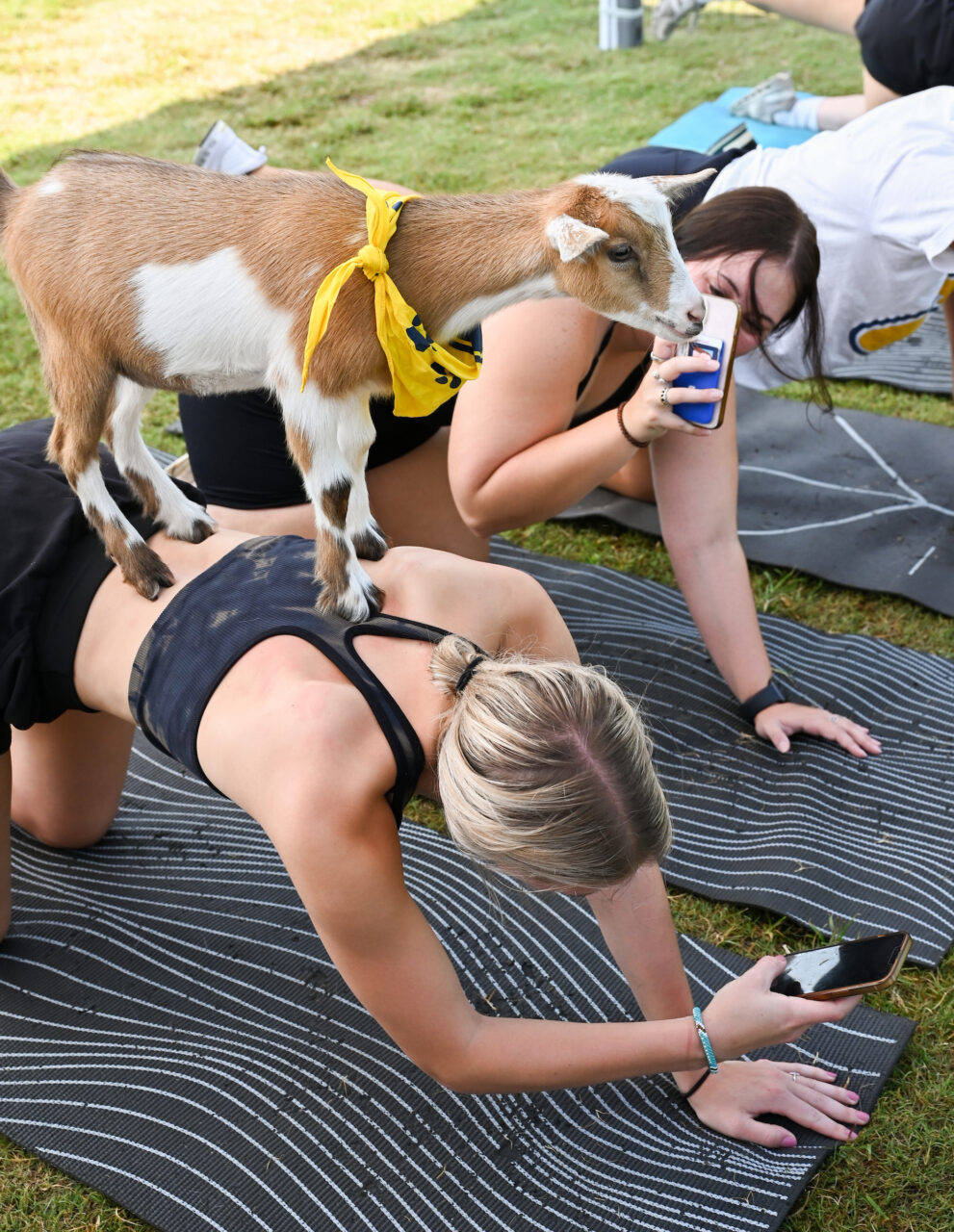Goat Yoga, Wednesday, Aug. 23, 2023 on Chamberlain Field.