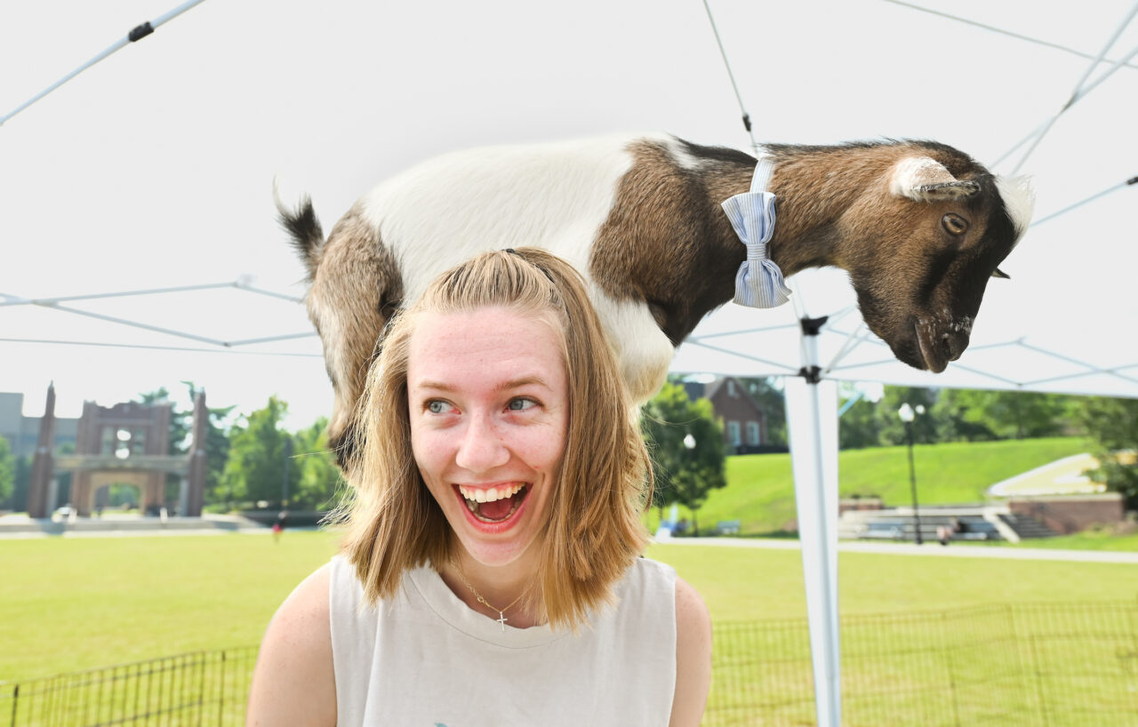 Goat Yoga, Wednesday, Aug. 23, 2023 on Chamberlain Field.
