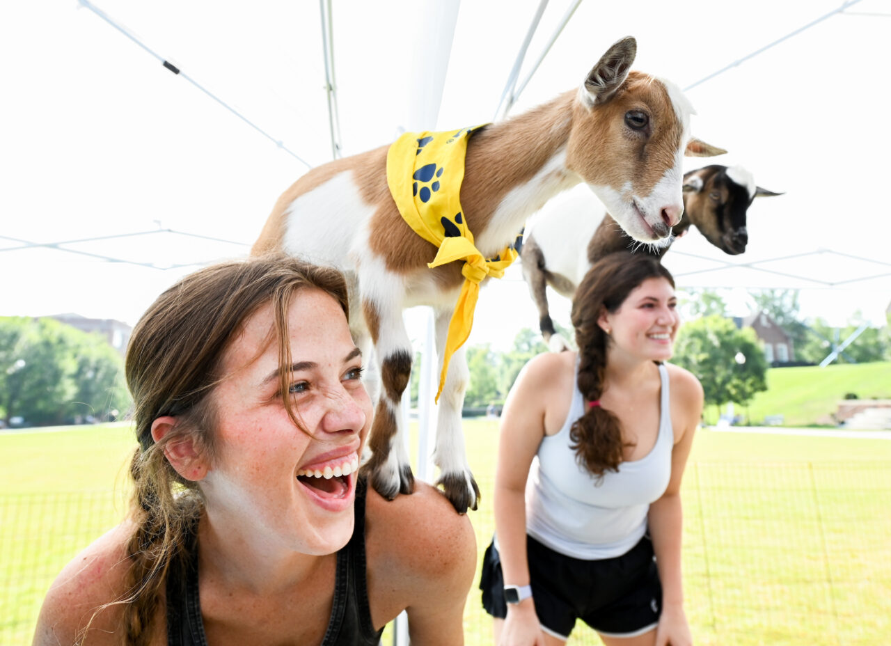 Goat Yoga, Wednesday, Aug. 23, 2023 on Chamberlain Field.
