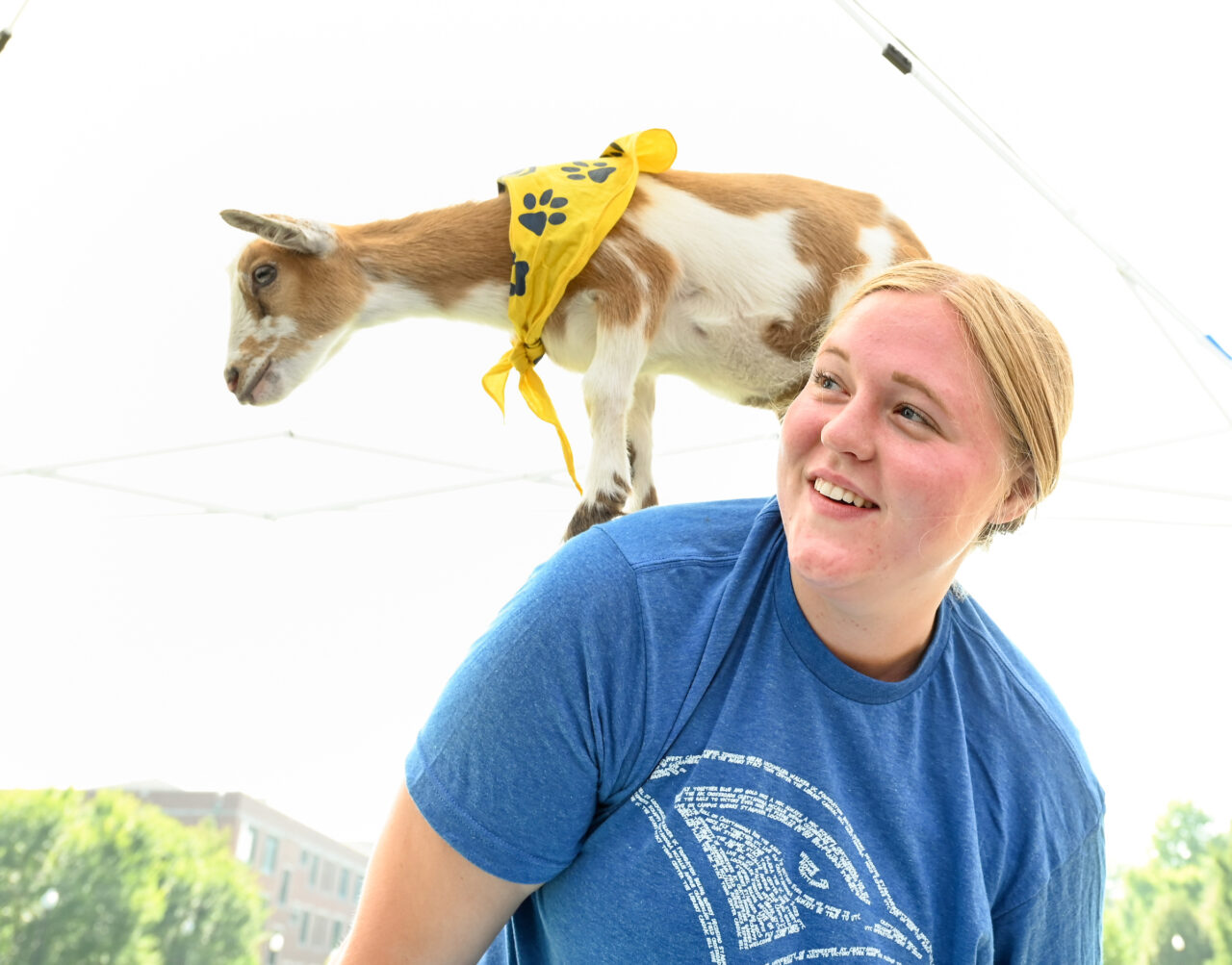 Goat Yoga, Wednesday, Aug. 23, 2023 on Chamberlain Field.