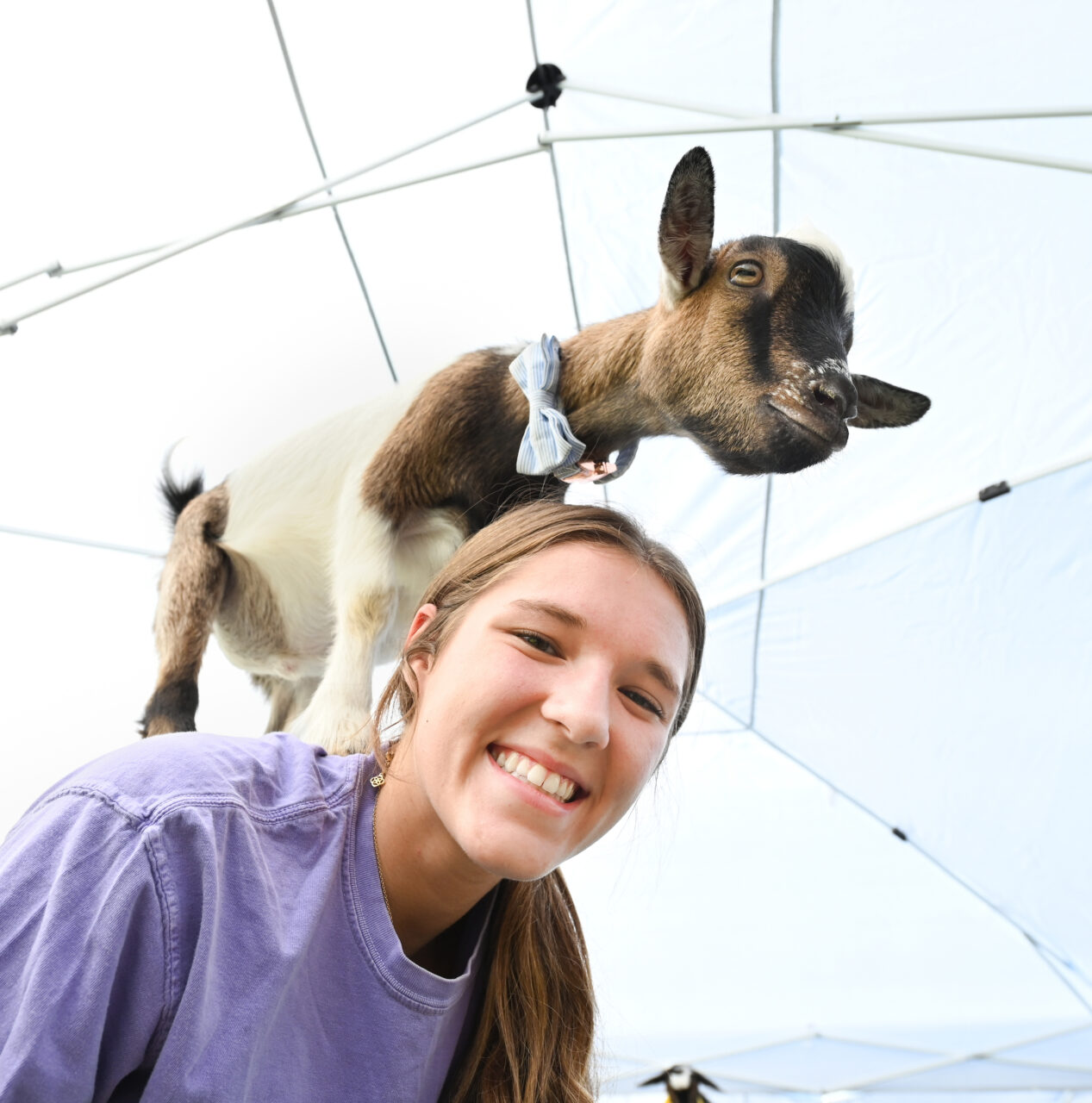 Goat Yoga, Wednesday, Aug. 23, 2023 on Chamberlain Field.