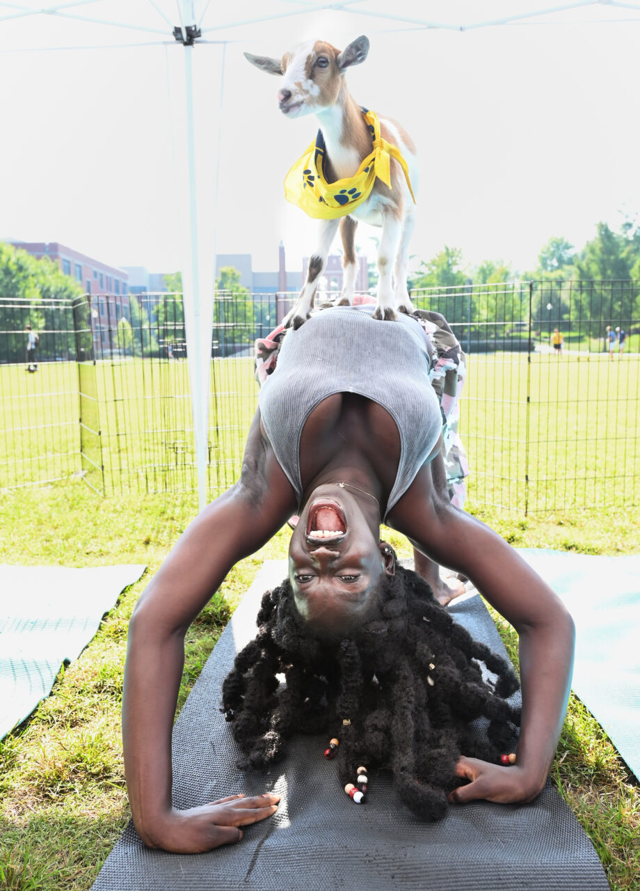 Goat Yoga, Wednesday, Aug. 23, 2023 on Chamberlain Field.