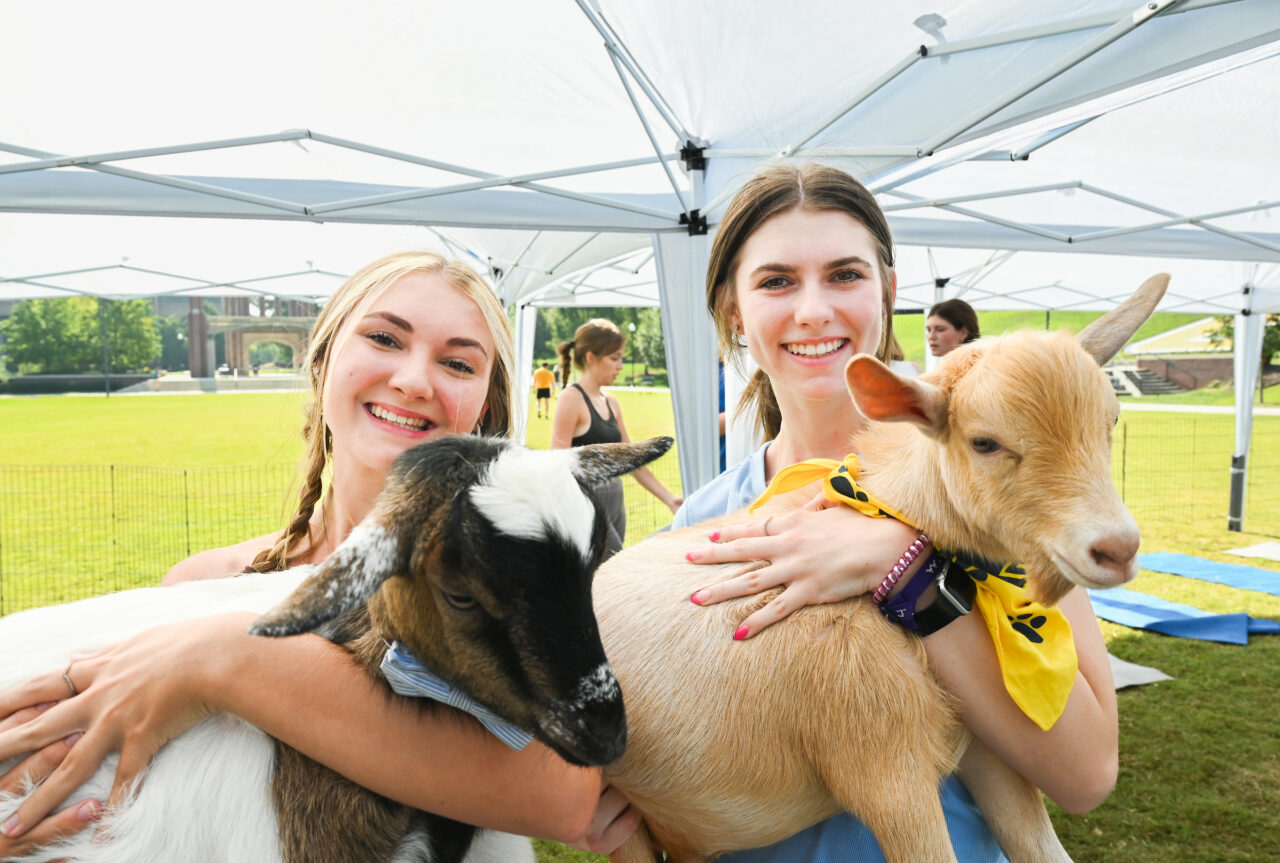 Goat Yoga, Wednesday, Aug. 23, 2023 on Chamberlain Field.