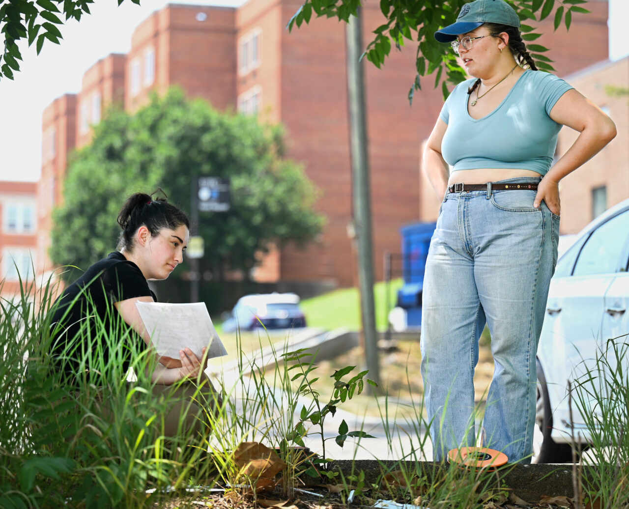 Ant Biodiversity Assessment-23-