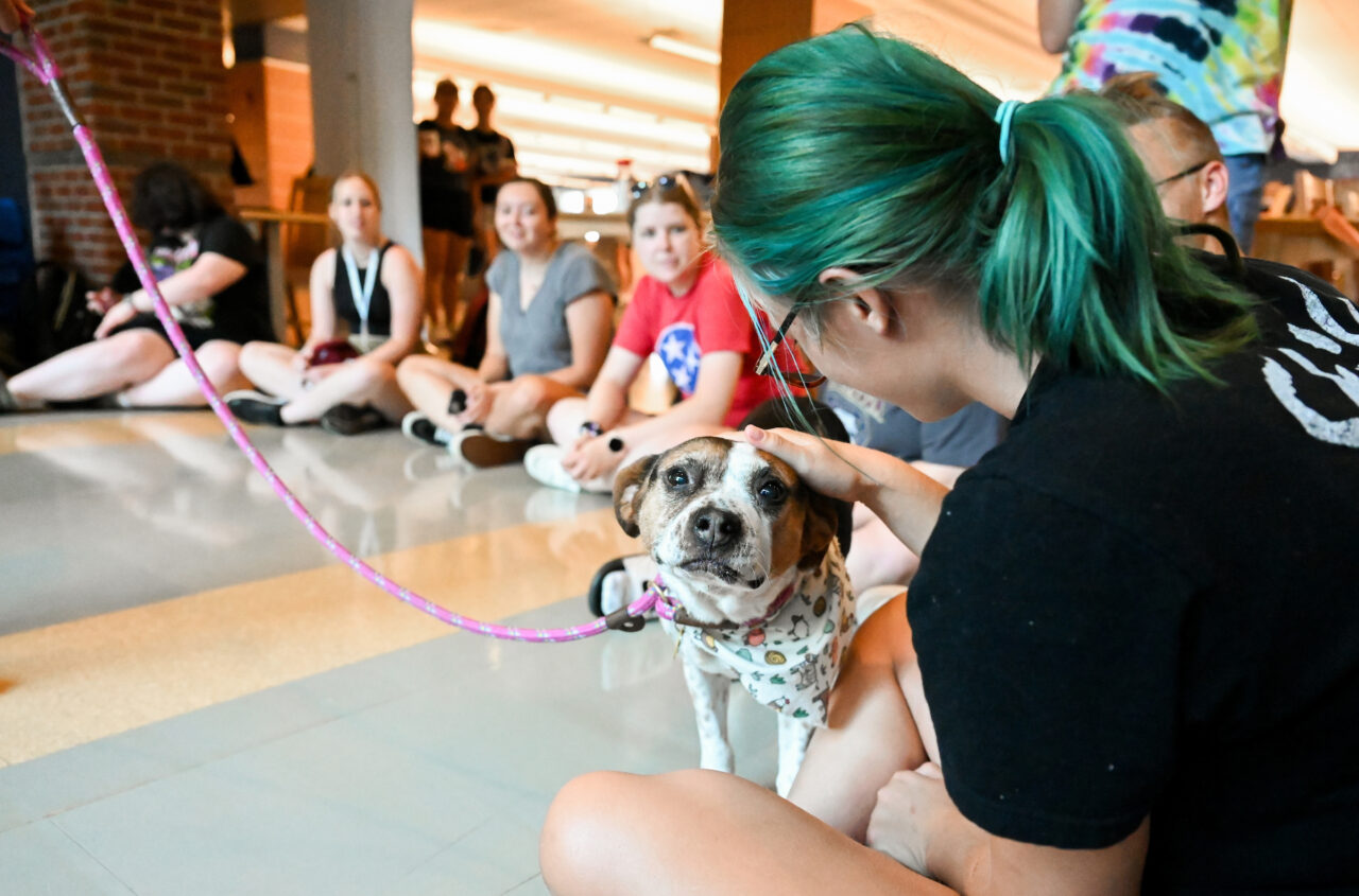 Therapy dog Lizzie visits students Tuesday, Aug. 22, 2023 in the library.