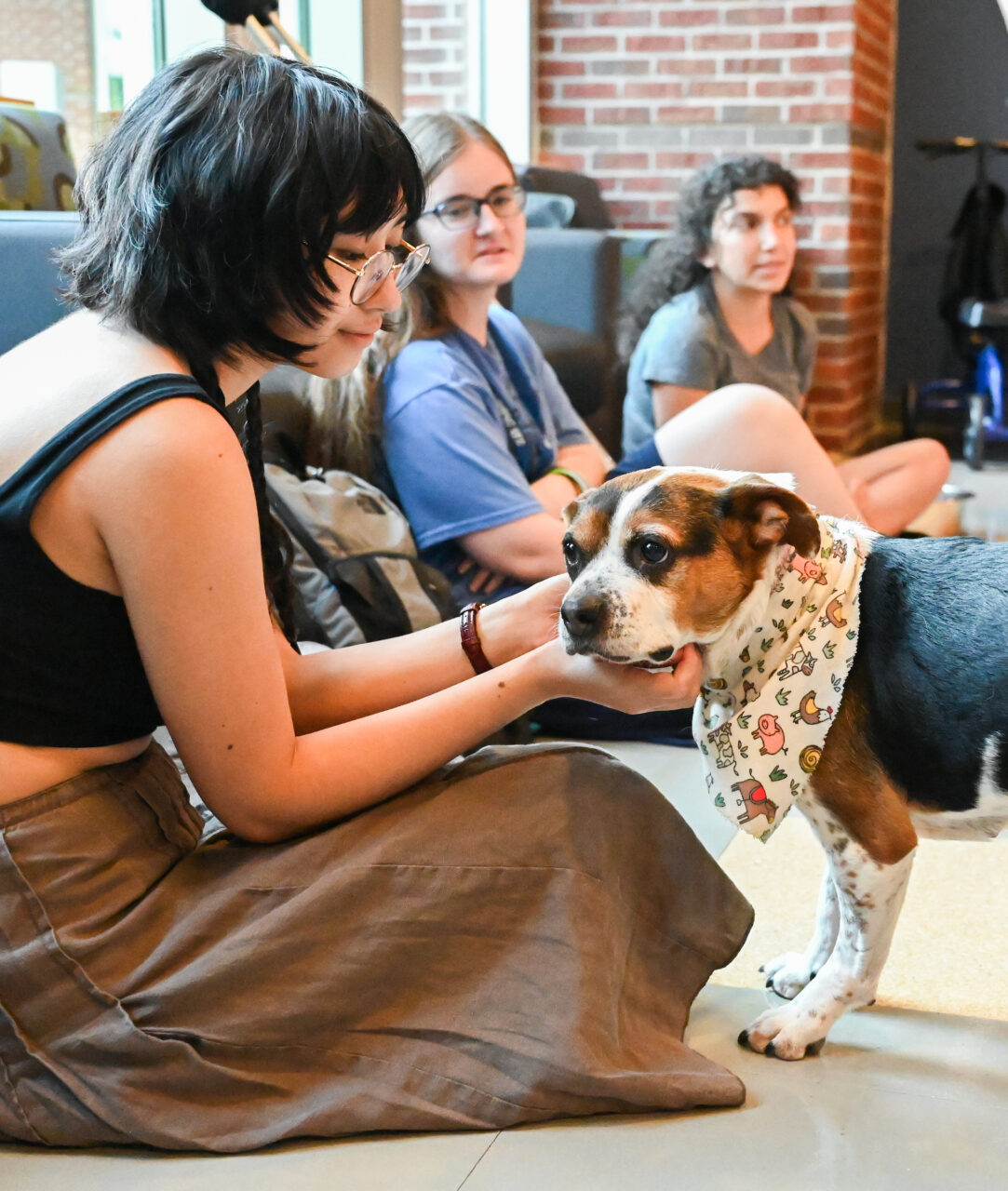 Therapy dog Lizzie visits students Tuesday, Aug. 22, 2023 in the library.