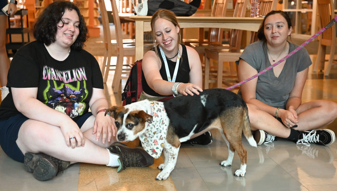 Therapy dog Lizzie visits students Tuesday, Aug. 22, 2023 in the library.