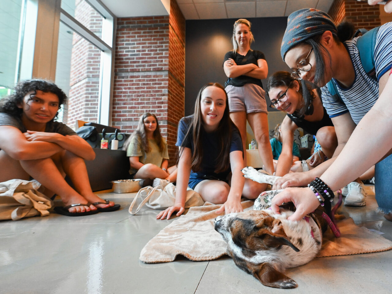 Therapy dog Lizzie visits students Tuesday, Aug. 22, 2023 in the library.